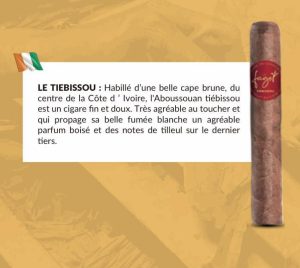 LE TIEBISSOU
